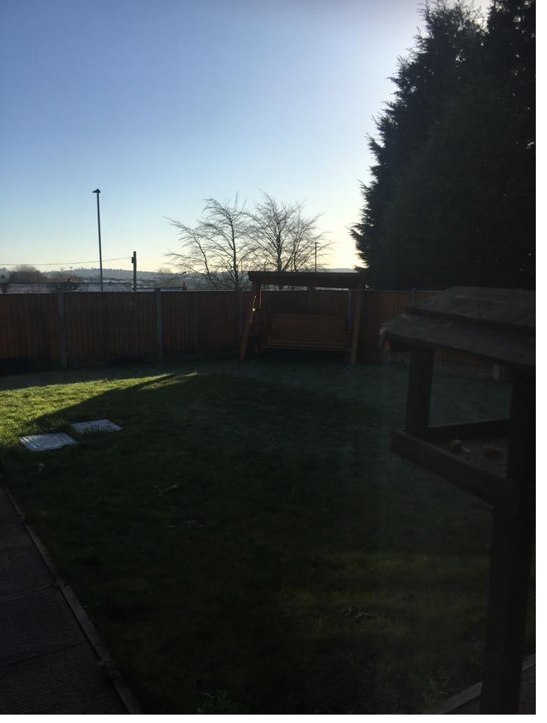 Garden space at Juniper House